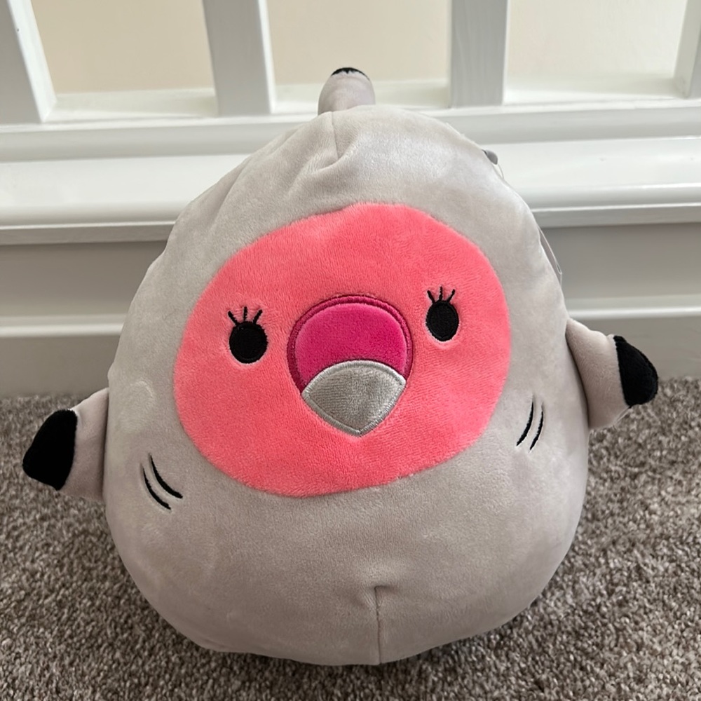 NWT Cookie in Shark Suit Squishmallow 8”